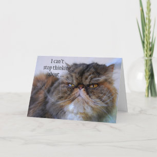 Thank You Persian Calico Kitty Princess Card Dankeskarte