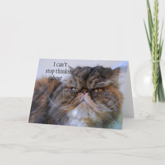 Thank You Persian Calico Kitty Princess Card Dankeskarte (Vorderseite)