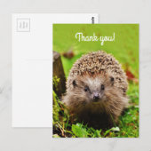 "Thank you! Personalized, Little Hedgehog Postkarte (Vorne/Hinten)