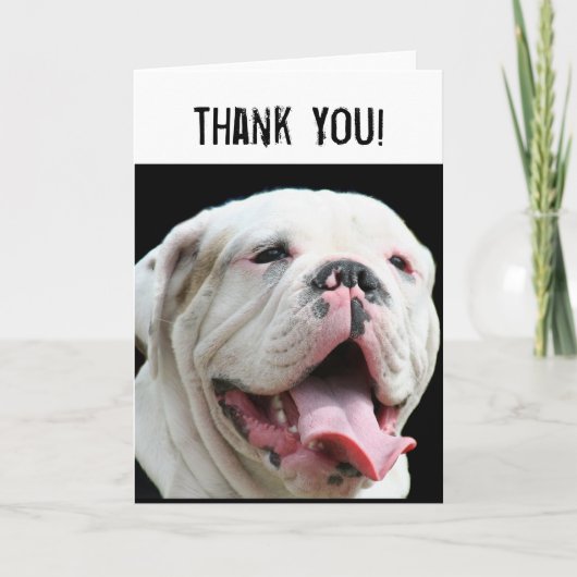 Thank You White Bulldog greeting card Dankeskarte (Vorderseite)