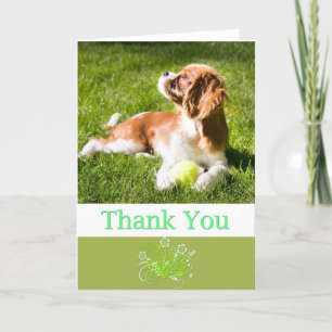 Thank You With Puppy Cavalier King Charles Card Dankeskarte