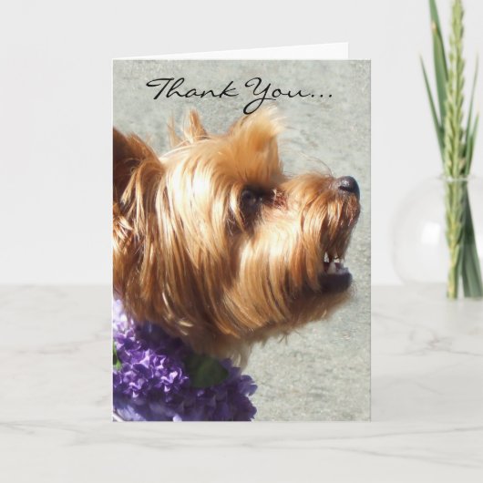Thank You Yorkshire Terrier Greeting Card Dankeskarte (Vorderseite)
