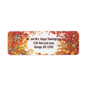 Thanksgiving Fall Leaf Circle
