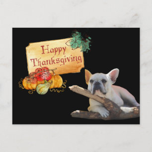 Thanksgiving Französische Bulldogge Postkarte