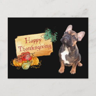 Thanksgiving Französische Bulldogge Postkarte