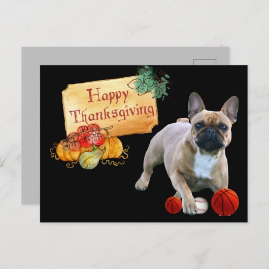 Thanksgiving Französische Bulldogge Postkarte (Vorne/Hinten)