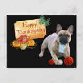 Thanksgiving Französische Bulldogge Postkarte (Vorderseite)