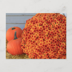 Thanksgiving Post Card Feiertagspostkarte