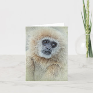 Thankyou Card Dankeskarte