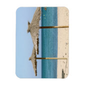 Thatch Beach Umbrellas Magnet (Vertikal)