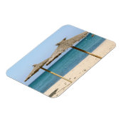 Thatch Beach Umbrellas Magnet (Linke Seite)