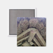 Thatch Roof, Rumsiskes Museum, LITAUEN - Magnet (Vorderseite/Rückseite)