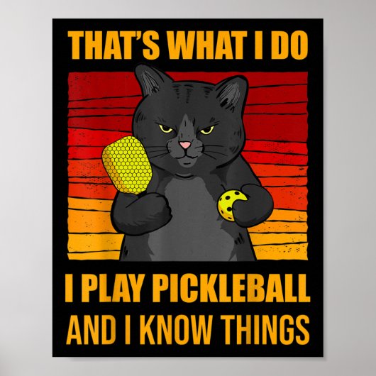 That's What I Do-i Play Ckleball And I Know Things Poster (Vorne)