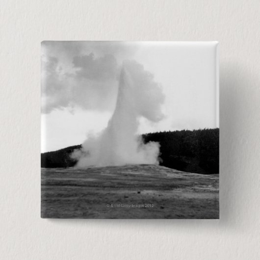 THC0024311 BUTTON (Vorderseite)