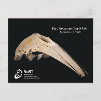 The 2010 Arroyo Gray Whale - Fußspuren eines Whale Postkarte