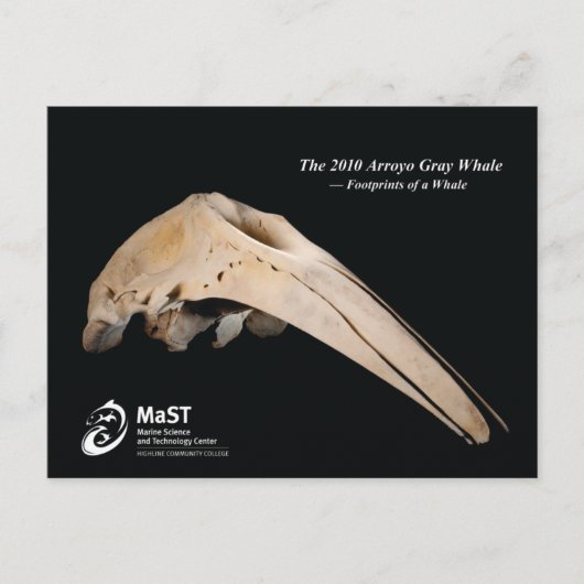 The 2010 Arroyo Gray Whale - Fußspuren eines Whale Postkarte (Vorderseite)