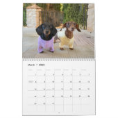 The 2026 Starbox Dachshunds Calendar Kalender (Mär 2026)