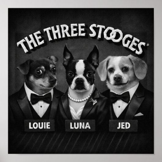 "The 2 Dooges" Poster (Vorne)