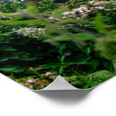 The Abandoned TSS Duke of Lancaster Ship Poster (Ecke)