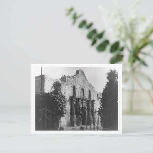The Alamo in San Antonio, TX Foto #2 Postkarte (Stehend Vorderseite)