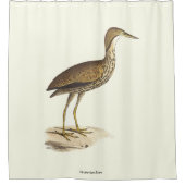 The American Bittern (Botaurus lentiginosus) Bird Duschvorhang (Vorderseite)