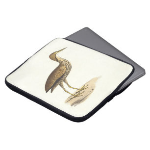 The American Bittern (Botaurus lentiginosus) Bird Laptopschutzhülle