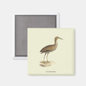 The American Bittern (Botaurus lentiginosus) Bird Magnet (Vorderseite/Rückseite)