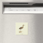 The American Bittern (Botaurus lentiginosus) Bird Magnet (In Situ (Geschirrspüler))