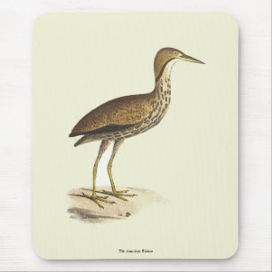 The American Bittern (Botaurus lentiginosus) Bird Mousepad