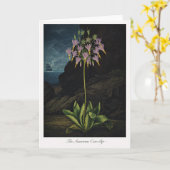 The American Cow-Slip — Modern Botanical Reinterpr Karte (Gelbe Blume)