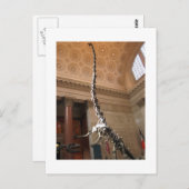 The American Museum of Natural History, NYC Postkarte (Vorne/Hinten)