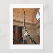 The American Museum of Natural History, NYC Postkarte (Vorderseite)