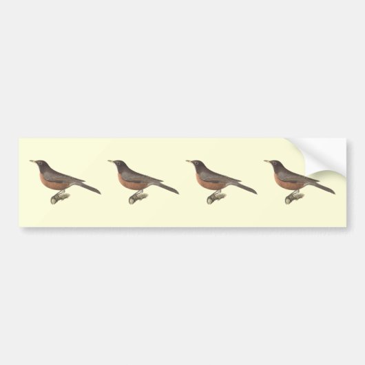 The American Robin (Turdus migratorius) NY Birds Autoaufkleber (Vorne)
