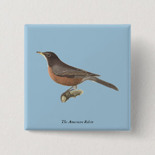 The American Robin (Turdus migratorius) NY Birds Button