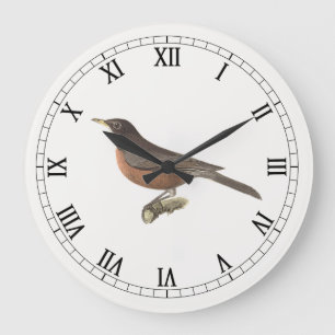 The American Robin (Turdus migratorius) NY Birds Große Wanduhr
