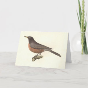 The American Robin (Turdus migratorius) NY Birds Karte