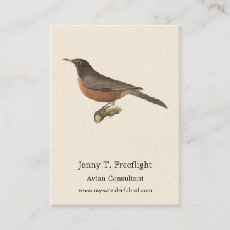 The American Robin (Turdus migratorius) NY Birds Visitenkarte