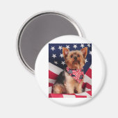 The American Yorkie Magnet (Vorderseite/Rückseite)
