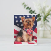 The American Yorkie Postkarte (Stehend Vorderseite)