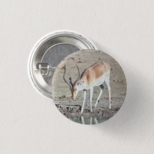 The antelope, button (Vorne & Hinten)