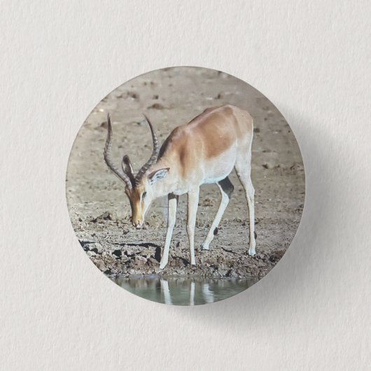 The antelope,  button (Vorderseite)