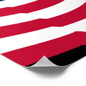 The Antifa Handbook Patriotic (ds) Poster (Ecke)