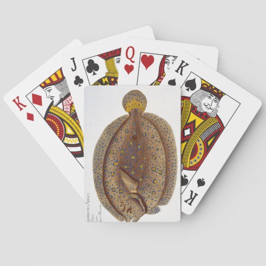 The Argus Flounder Spielkarten (Rückseite)