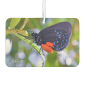 The Atala Autolufterfrischer (Rückseite)