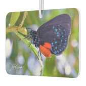 The Atala Autolufterfrischer (Links)