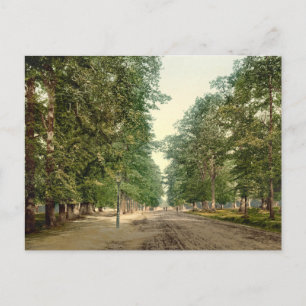The Avenue, Southampton, Hampshire, England Postkarte