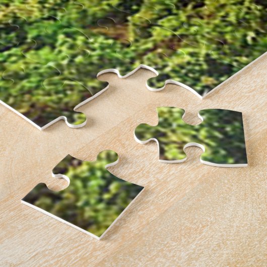 The Azores Puzzle (Seite)