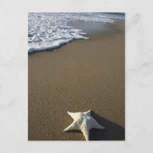 The Beach Post Card Postkarte