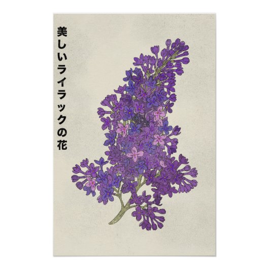 The Beautiful Lilac Flower Poster (Vorderseite)