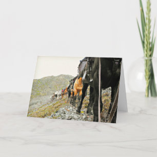 The Beauty of Chisana Karte